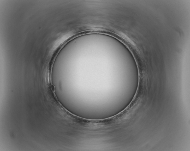 X0000113561269200909181013