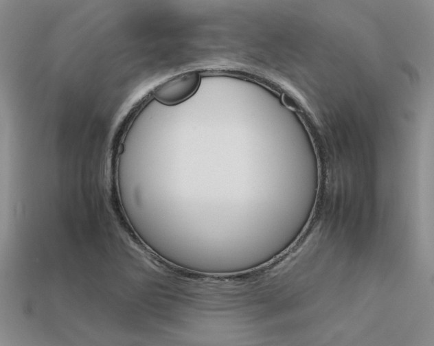 X0000113561270200909181013