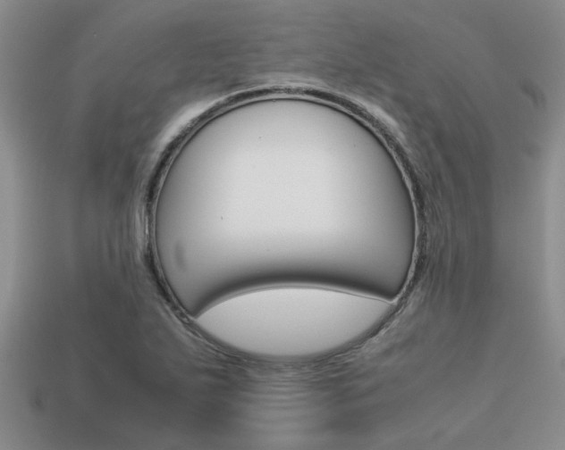 X0000113561271200909181013