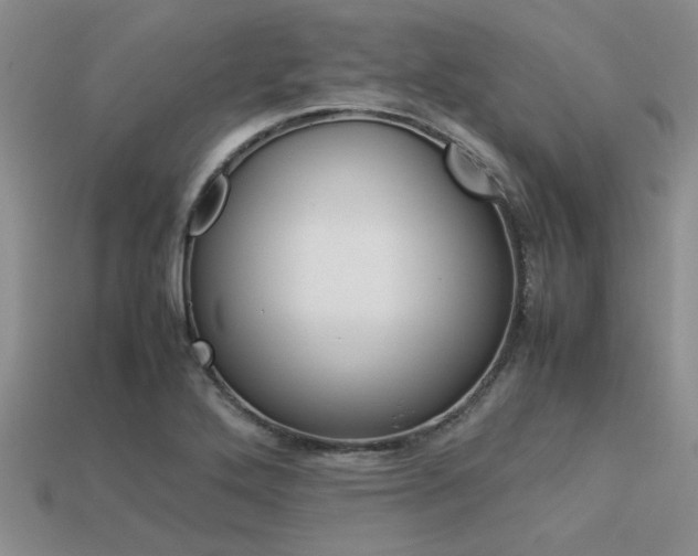 X0000113561272200909181013