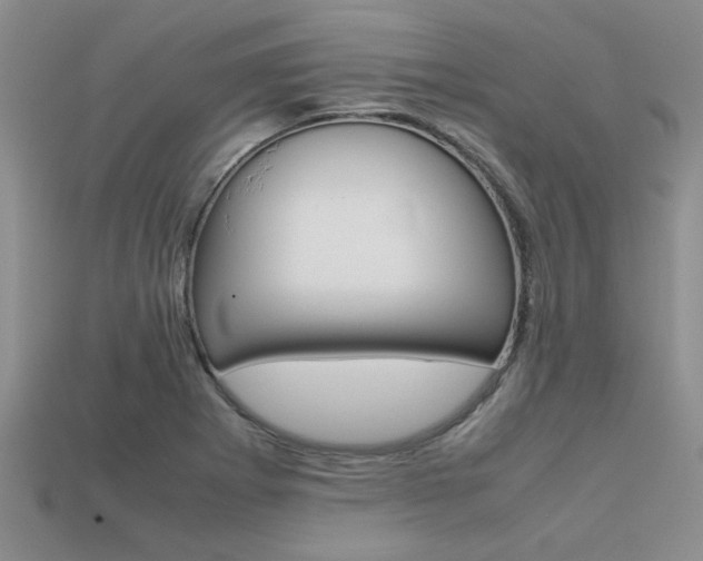 X0000113561273200909181013