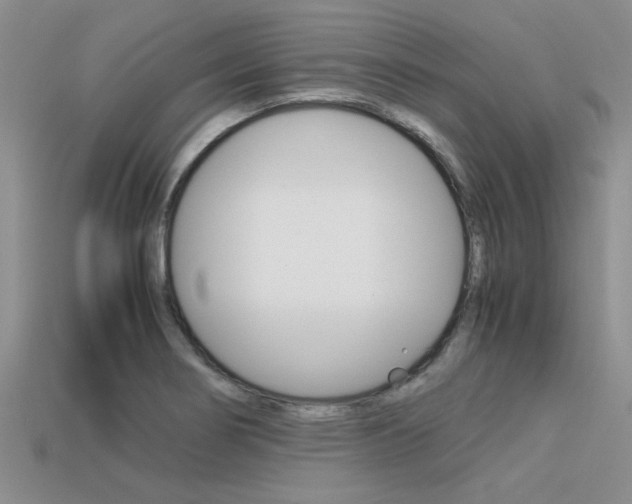 X0000113561274200909181013