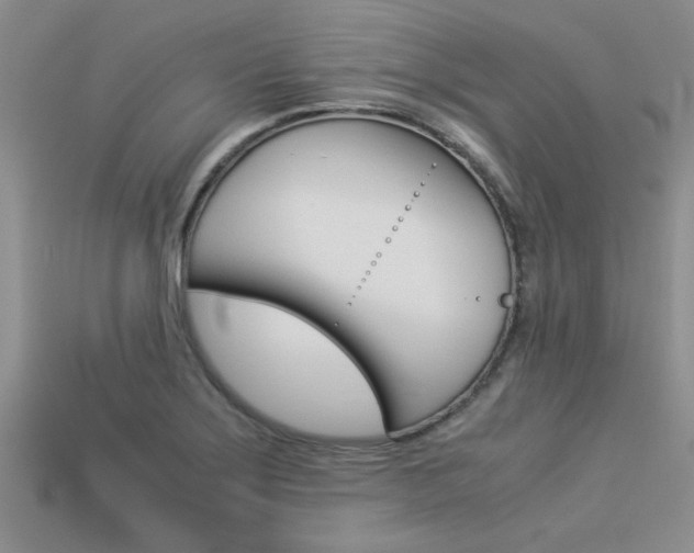 X0000113561275200909181013