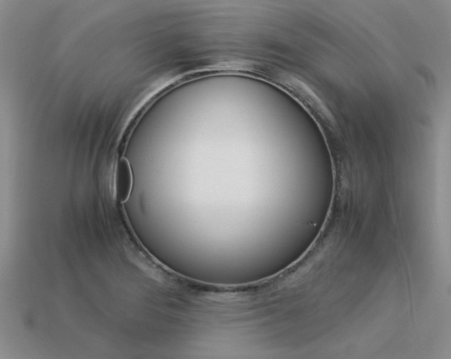 X0000113561276200909181013