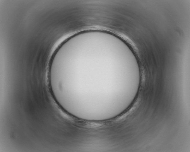X0000113561278200909181013