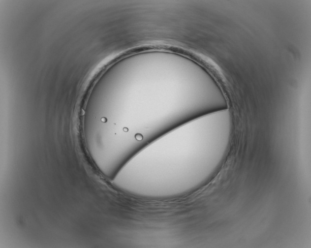 X0000113561279200909181013