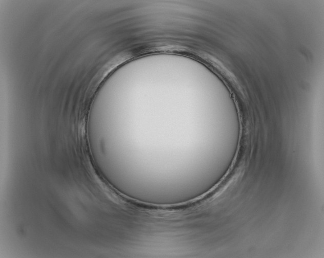X0000113561281200909181013