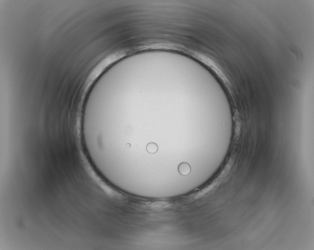 X0000113561282200909181013