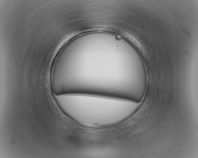 X0000113561283200909181013
