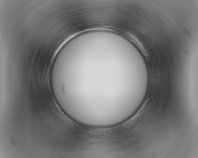 X0000113561284200909181013