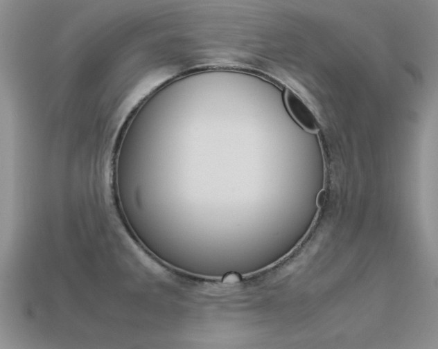 X0000113561285200909181013