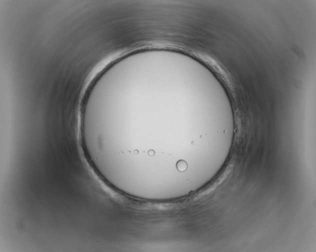X0000113561286200909181013