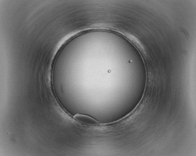 X0000113561288200909181013