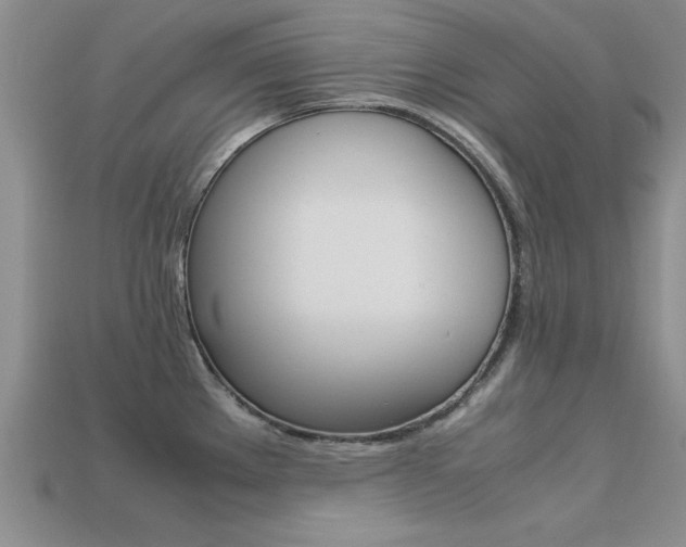 X0000113561289200909181013