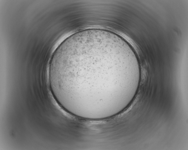 X0000113561290200909181013