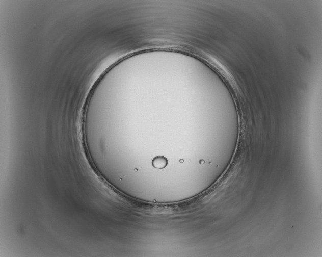 X0000113561291200909181013
