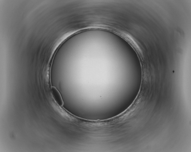 X0000113561292200909181013