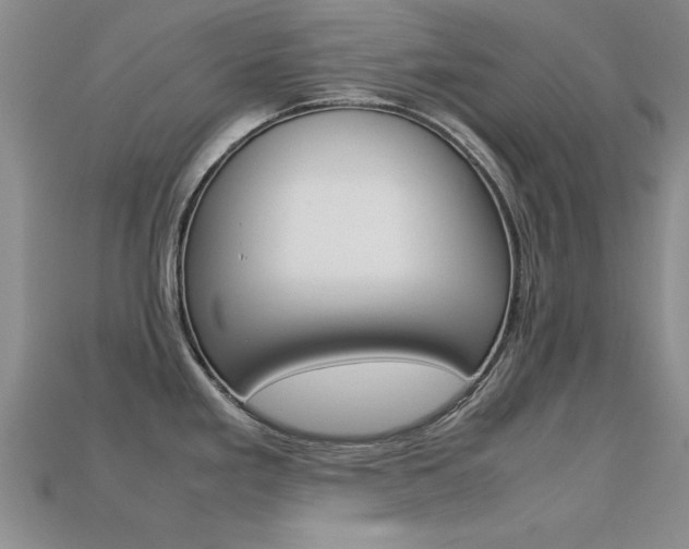 X0000113561293200909181013