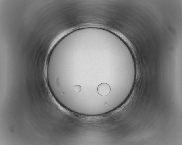 X0000113561294200909181013