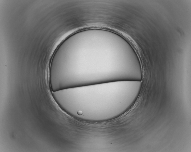 X0000113561295200909181013