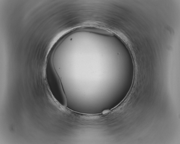 X0000113561296200909181013