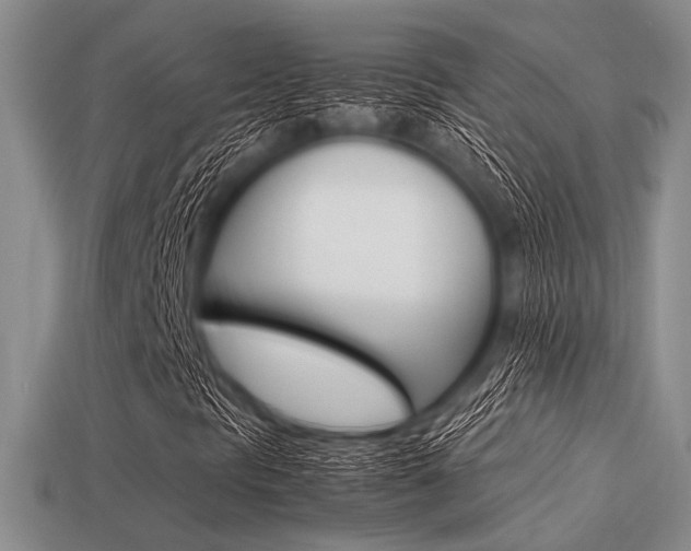 X0000113561297200909181012