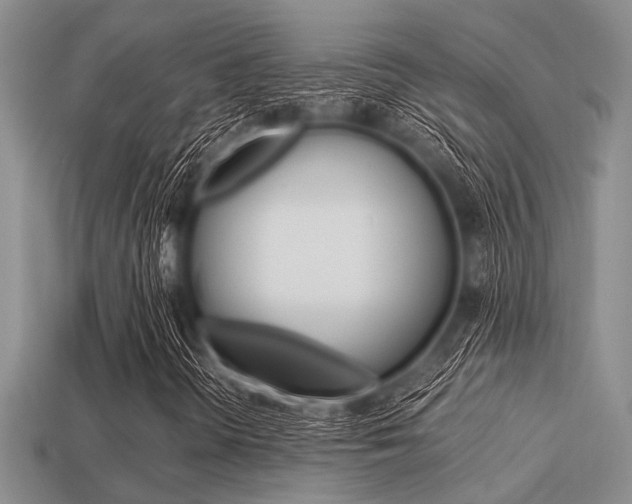 X0000113561298200909181012