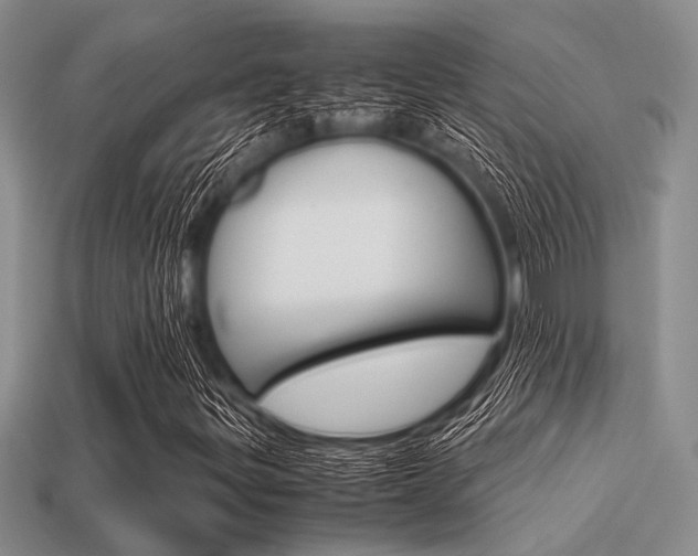 X0000113561299200909181012