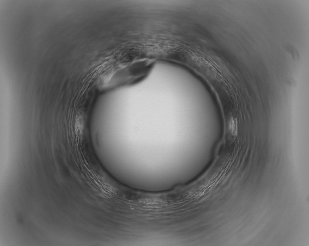 X0000113561300200909181012
