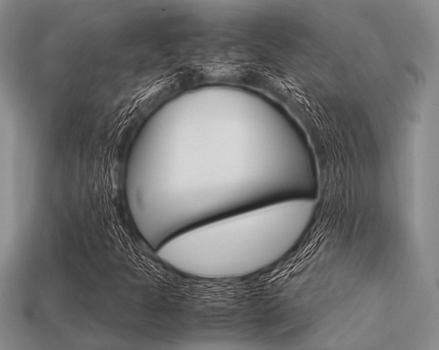 X0000113561301200909181012