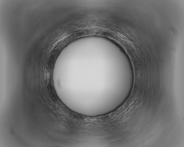 X0000113561302200909181012