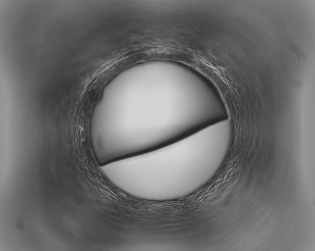 X0000113561303200909181012