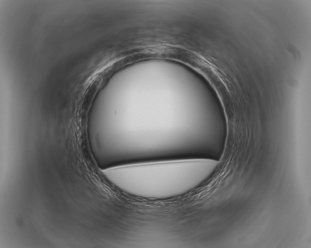 X0000113561304200909181012