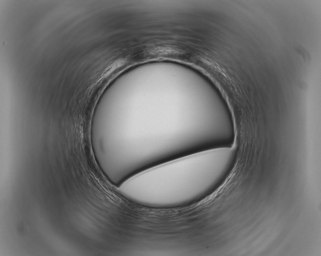 X0000113561305200909181012