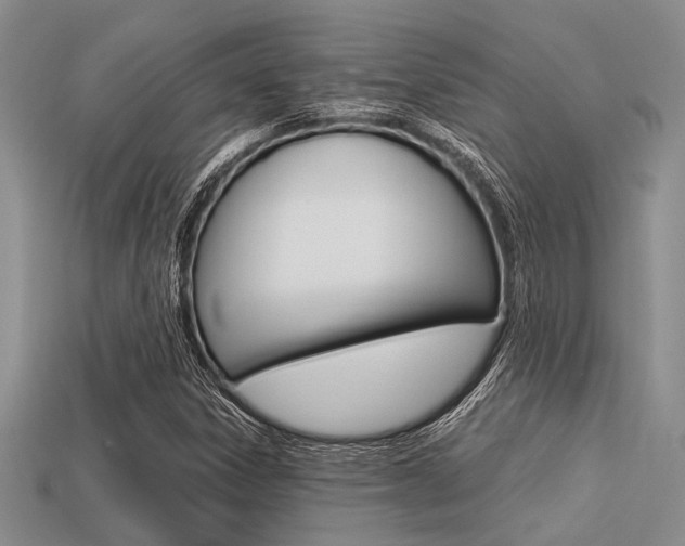 X0000113561306200909181012