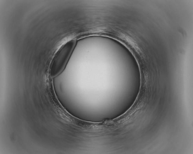 X0000113561308200909181012