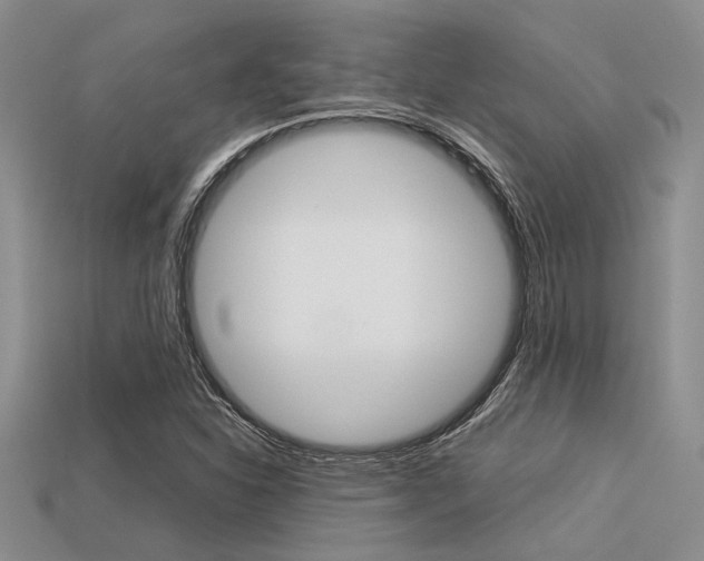 X0000113561310200909181012