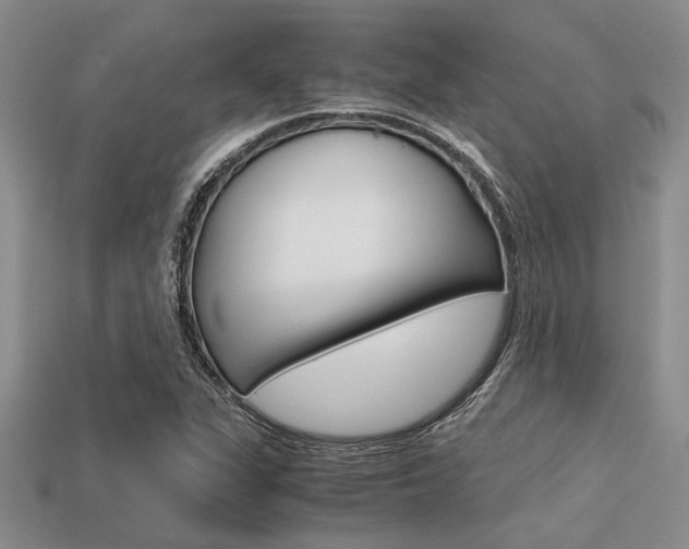X0000113561311200909181012