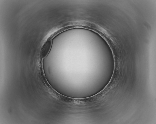 X0000113561312200909181012