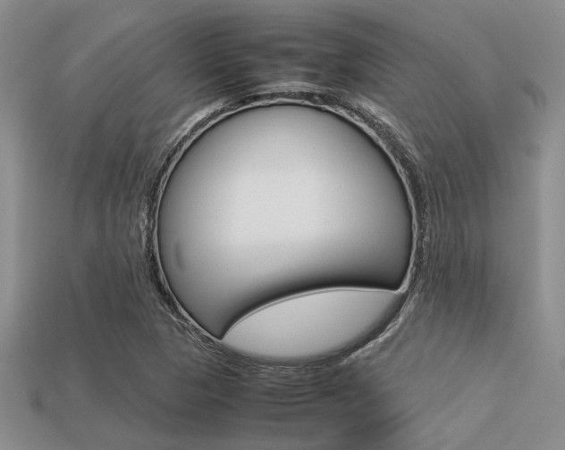 X0000113561313200909181012