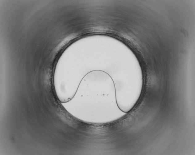 X0000113561314200909181012