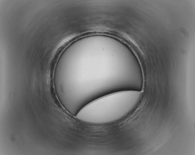 X0000113561315200909181012