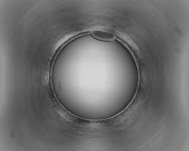 X0000113561316200909181012