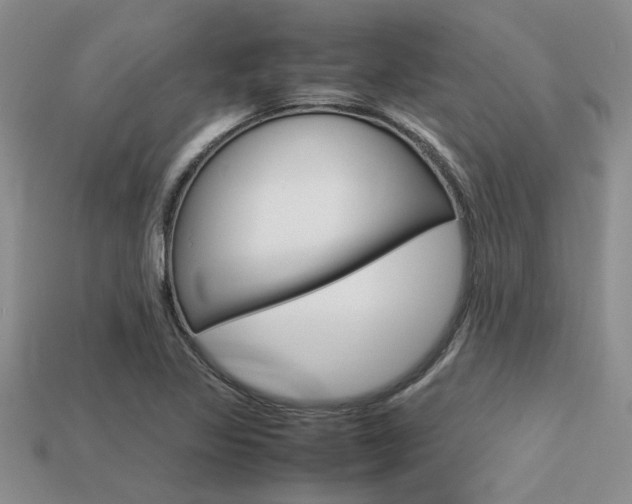 X0000113561317200909181012