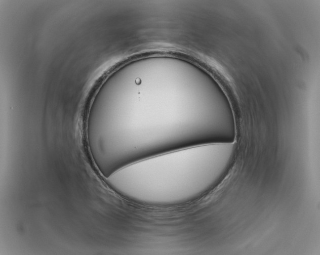 X0000113561318200909181012