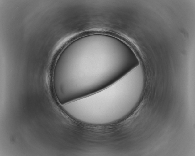 X0000113561319200909181012