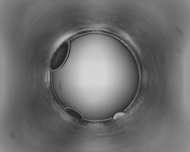 X0000113561320200909181012