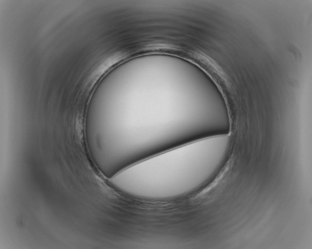 X0000113561321200909181012