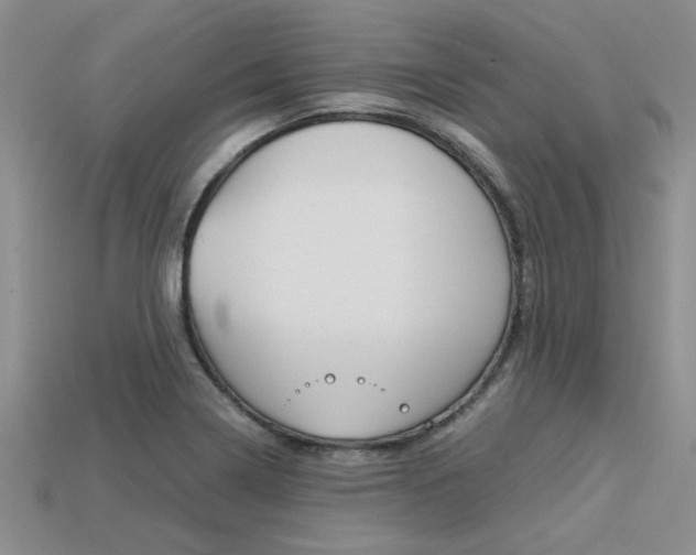 X0000113561322200909181012
