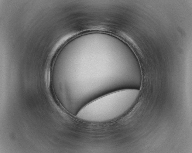 X0000113561323200909181012